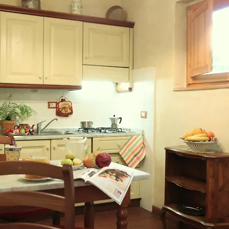 Daire Garden Terrace Oltrarno *