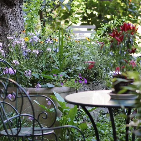 Garden Terrace Oltrarno Daire Floransa