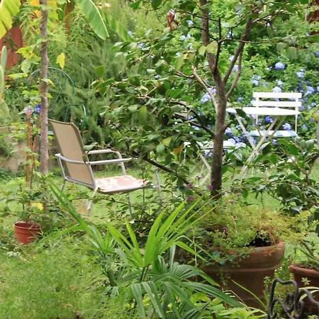 Appartamento Garden Terrace Oltrarno *