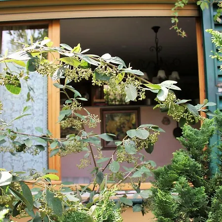 Garden Terrace Oltrarno Appartement