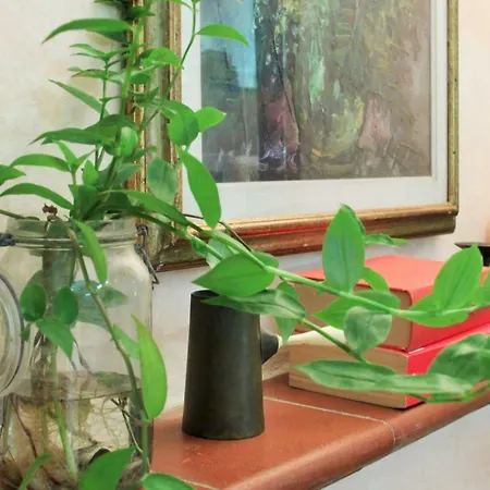 Appartement Garden Terrace Oltrarno Florence